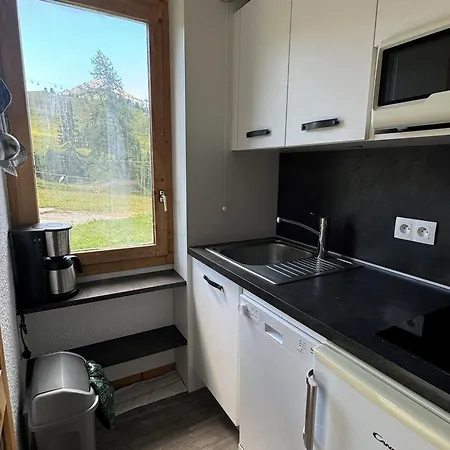 Fonctionnel 4 Pers, Acces Pistes, Terrasse - Fr-1-181-2254 Apartment